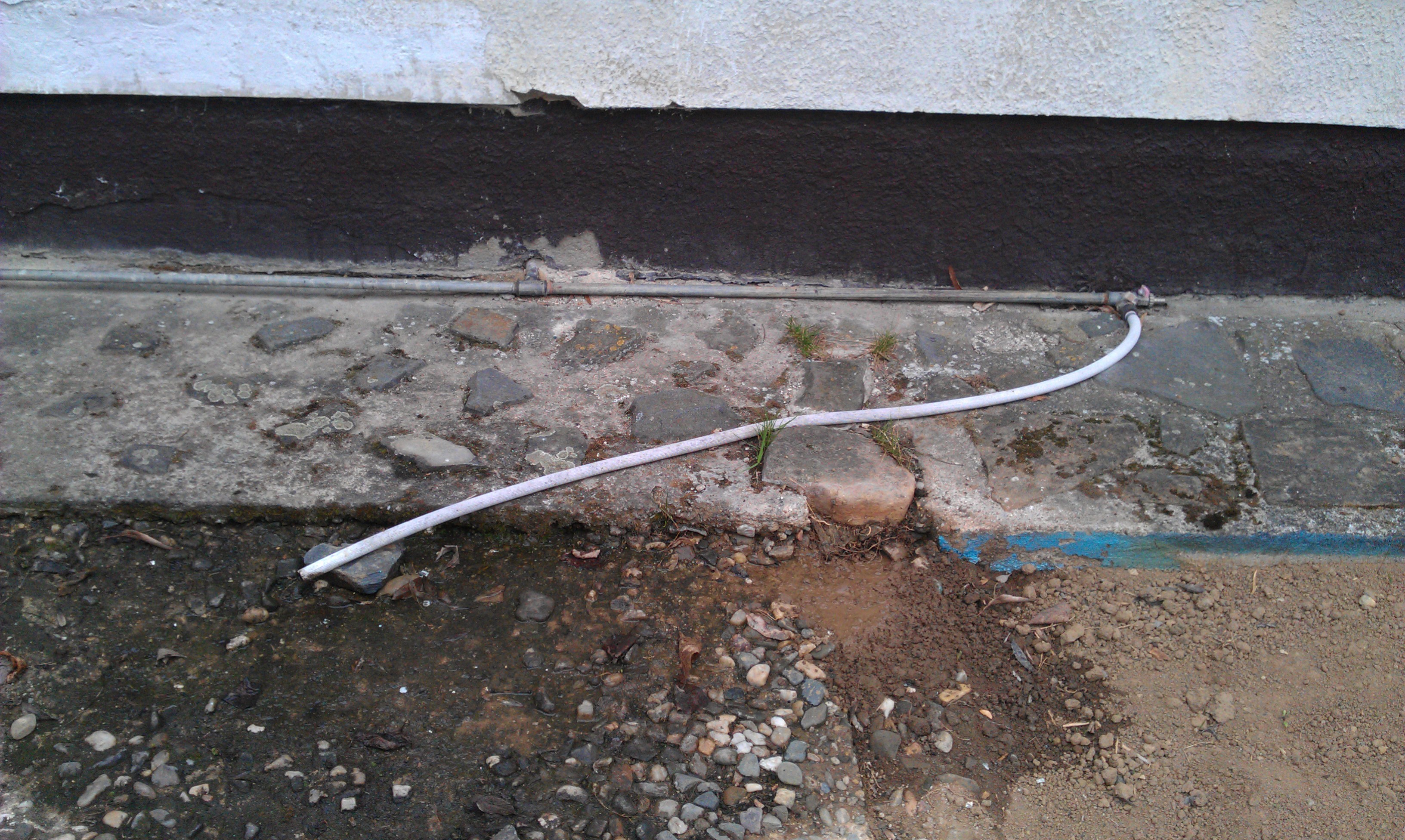 IMAG0766