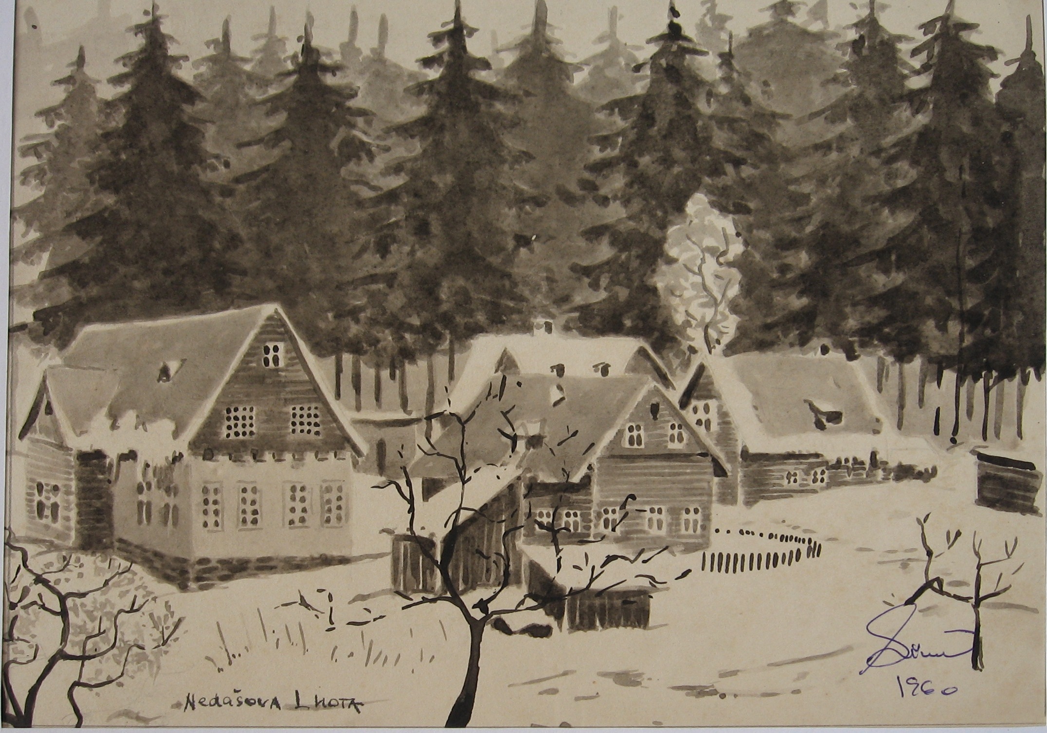 1960 - 015 - 0593 -  Nedašova Lhota - tuž 27x19