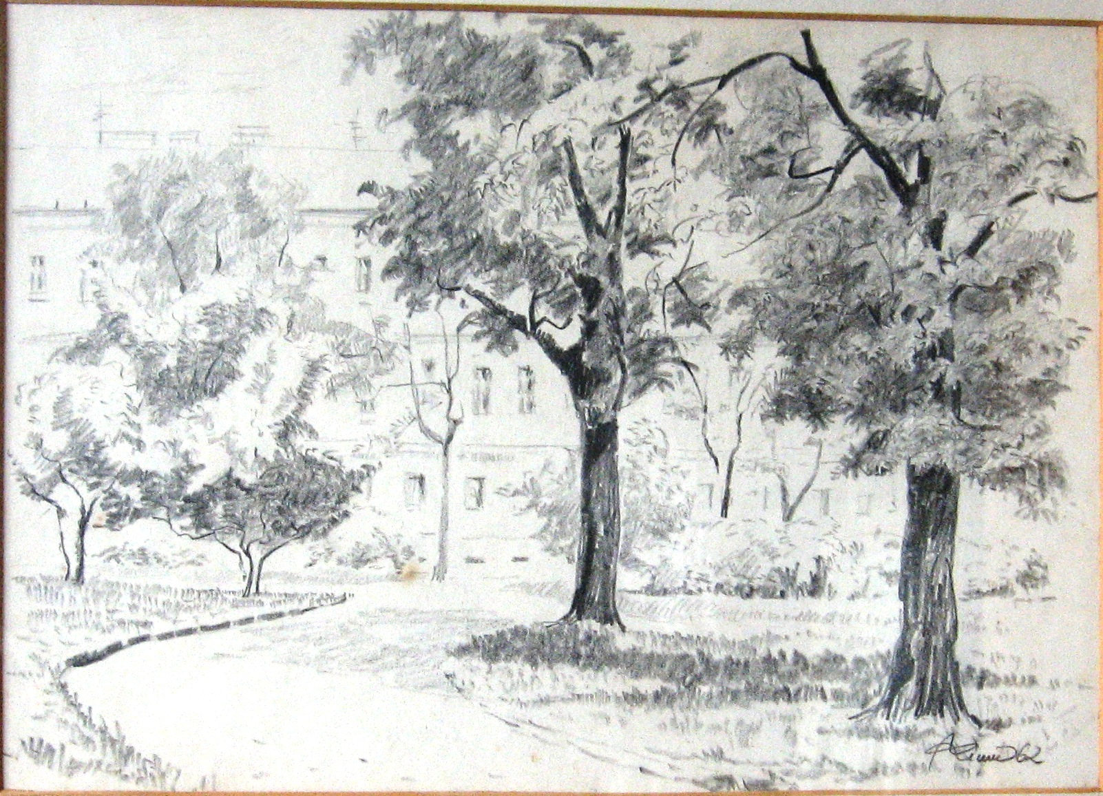 1962 - 010 - 0081 -   Brno - park za Domem umění - dva stromy - tužka 39x28