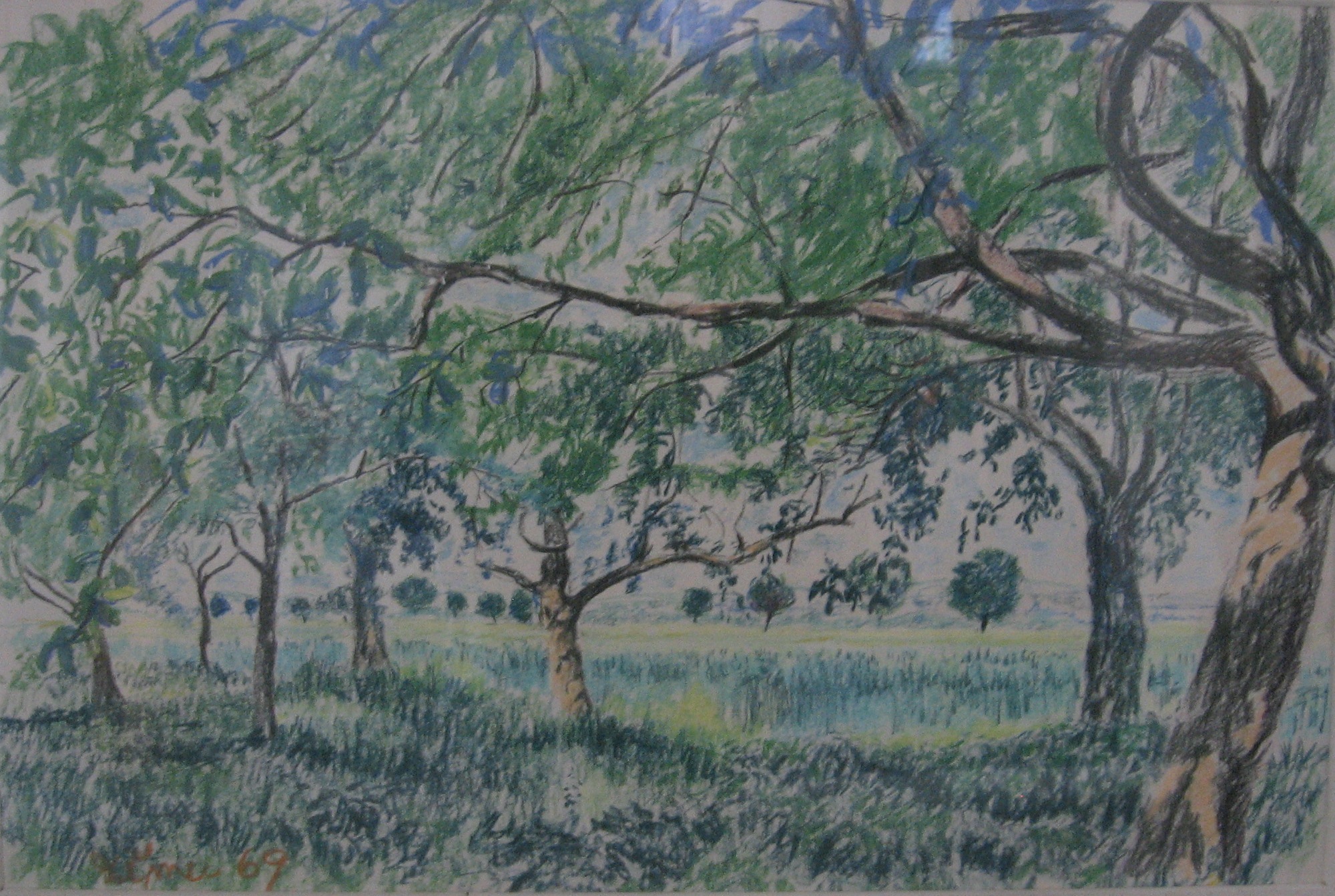 1969 - 001 - 0079 - náš sad - pastel 54x36