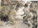 1959 - 022 - Adam a Eva v ráji - lepenka a olej 105x74